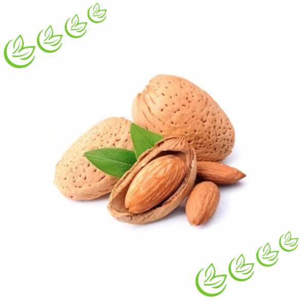 Mandelöl kaltgepresst BIO 100 ml